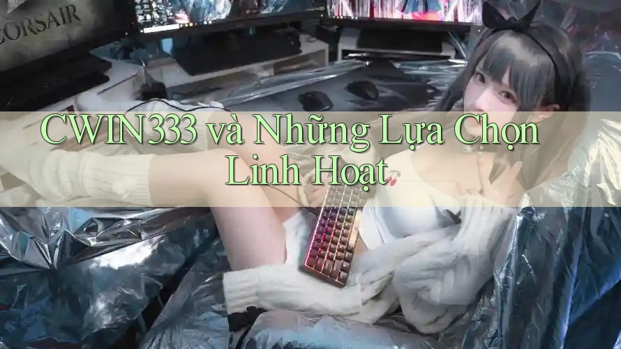 CWIN333 và Những Lựa Chọn Linh Hoạt