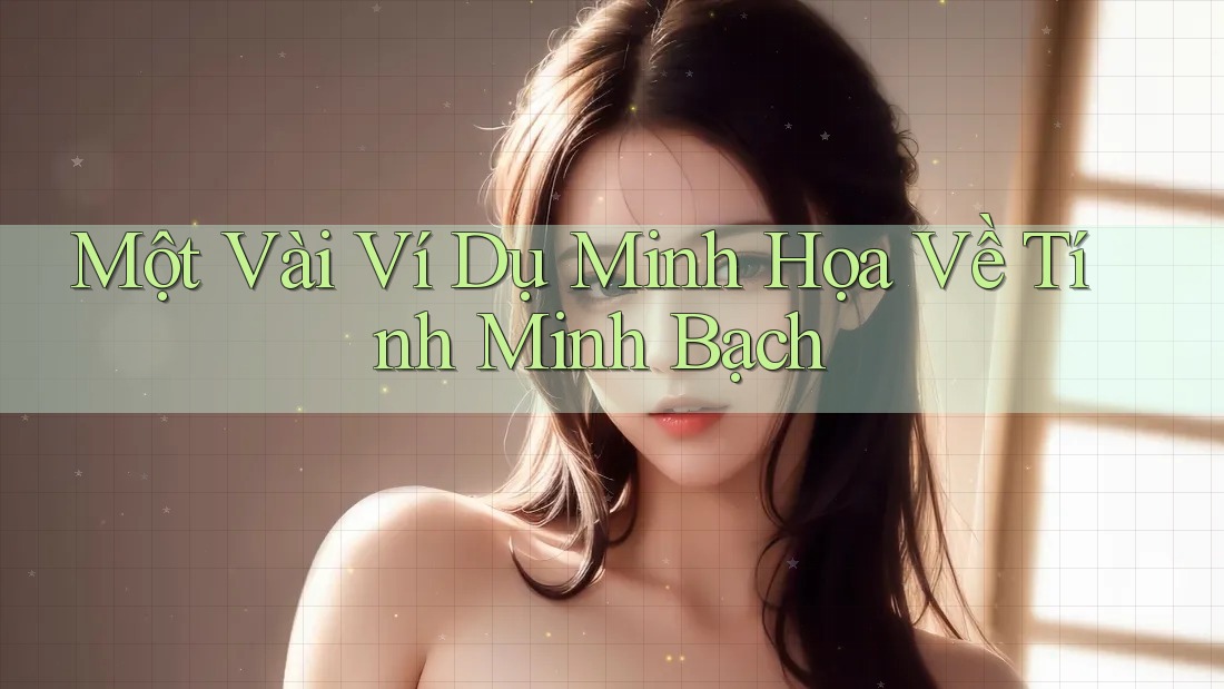 Một Vài Ví Dụ Minh Họa Về Tính Minh Bạch