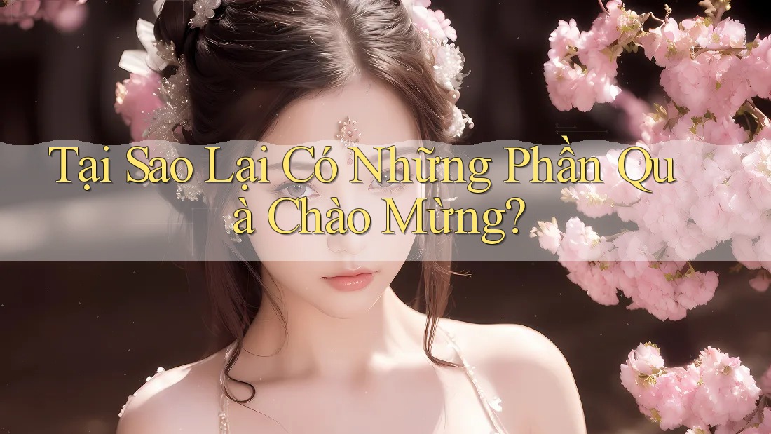 Tại Sao Lại Có Những Phần Quà Chào Mừng? Tại Sao Lại Có Những Phần Quà Chào Mừng?