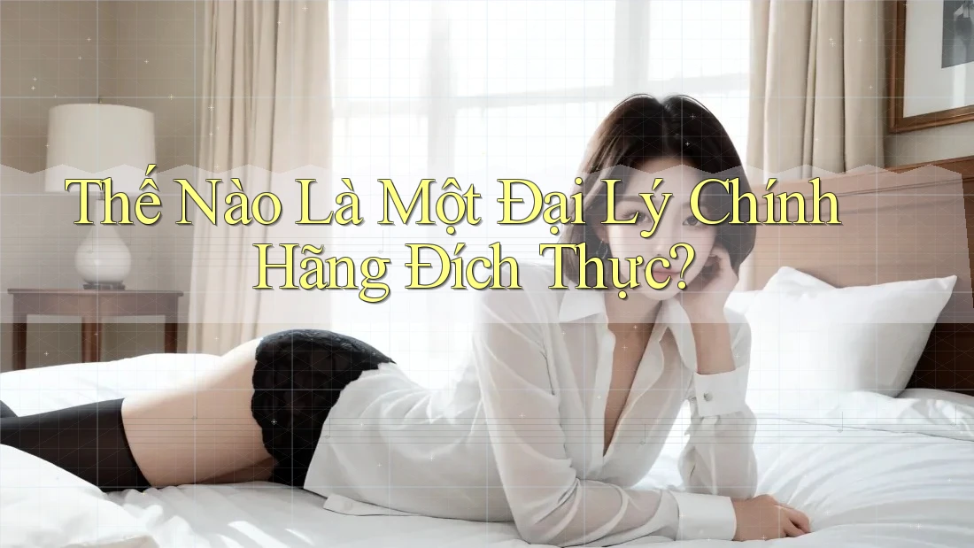 Thế Nào Là Một Đại Lý Chính Hãng Đích Thực?