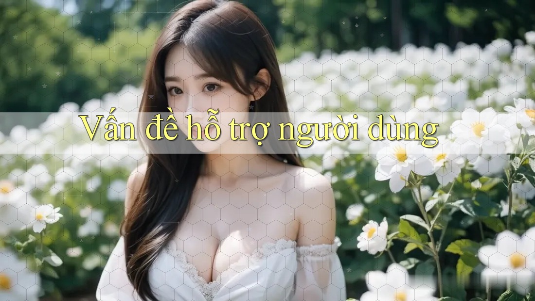 Vấn đề hỗ trợ người dùng Vấn đề hỗ trợ người dùng
